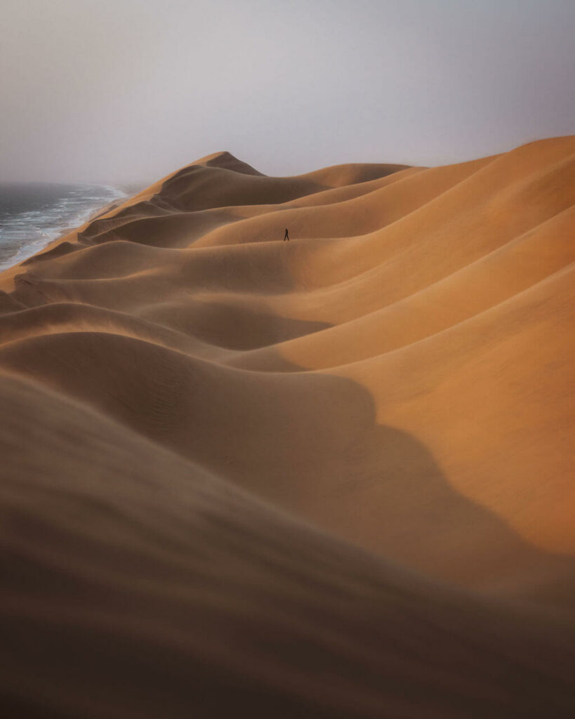 Jonas Fellenstein - Desert Dunes